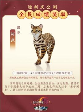 天龙八部私服最高攻击